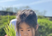 響應422地球日 北市平等國小「禾作社」彎腰學食農