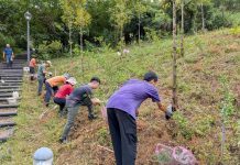 公私協力守護文山森林公園 步道維護與生態保育成果展現