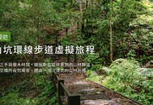 台中沉浸式山林體驗! 「雪山坑登山步道」美景線上看
