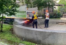 新北民眾外縣市染漢他病毒 衛生局籲加強防鼠清消