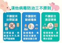 南市啟動跨局處聯防「從源頭強化環境管理、防堵漢他病毒」
