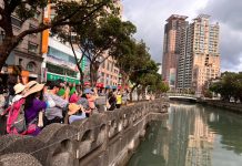 基隆田寮河鷺鷥林生機盎然 市府推導覽深化保育觀念