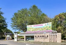 暨大護理學系114學年度加冠典禮 傳承南丁格爾精神